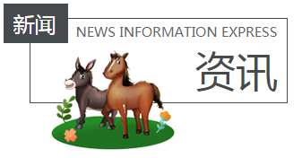 �ж��������ӑB